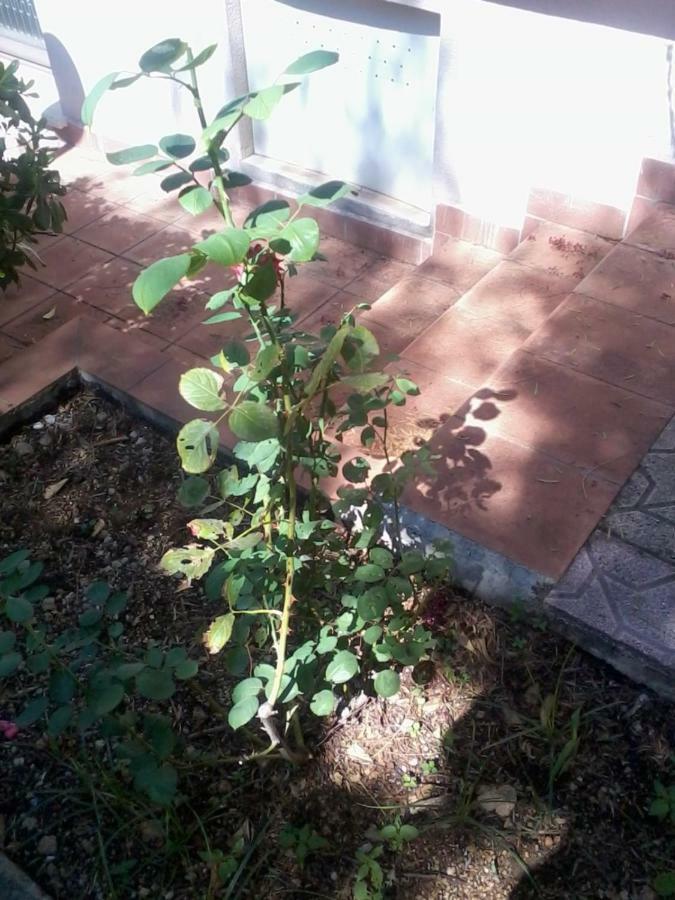 Sperone Mandra Capreria Bagian luar foto